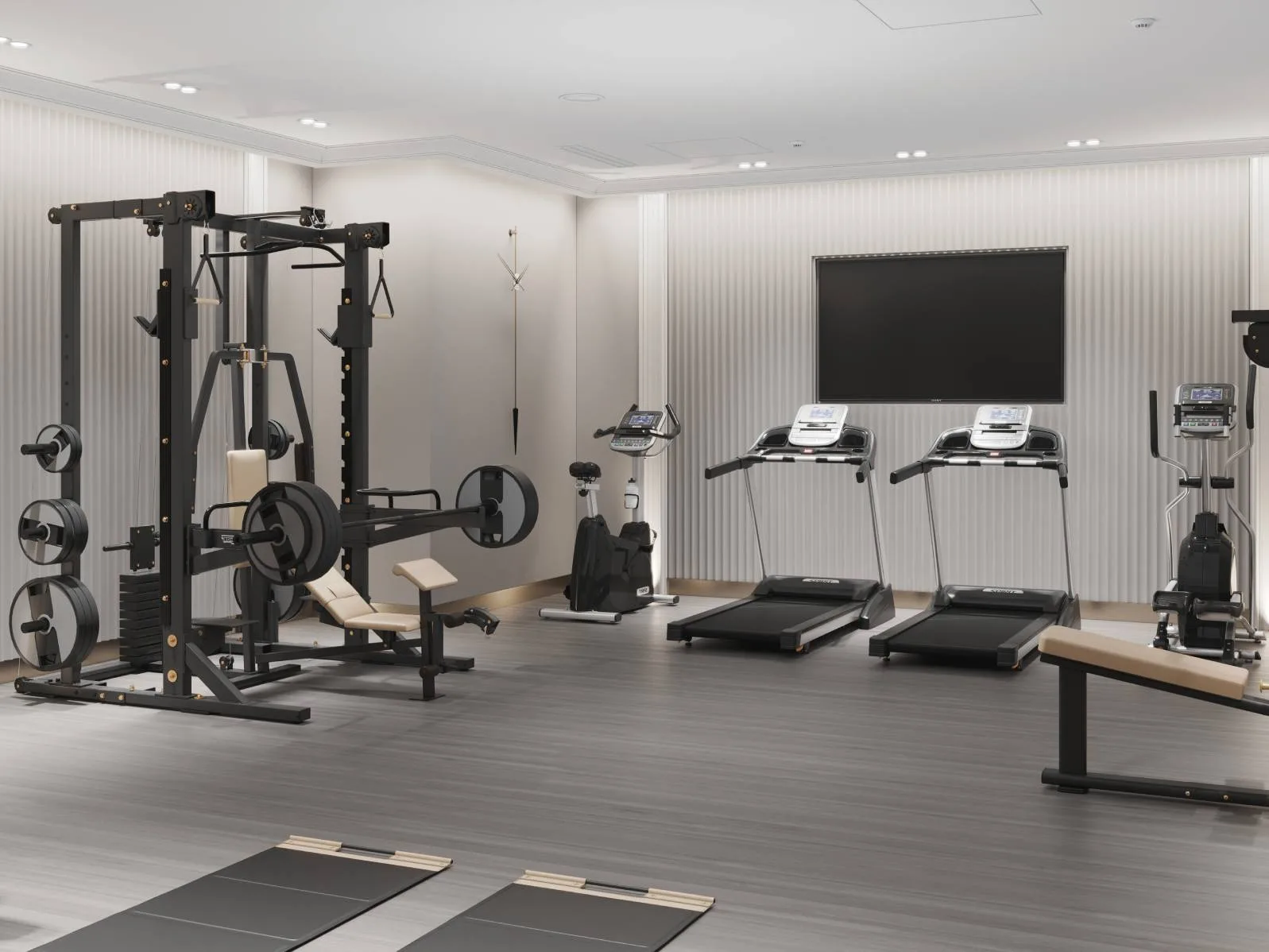Силовая зона Fit Lab, рендер проекта